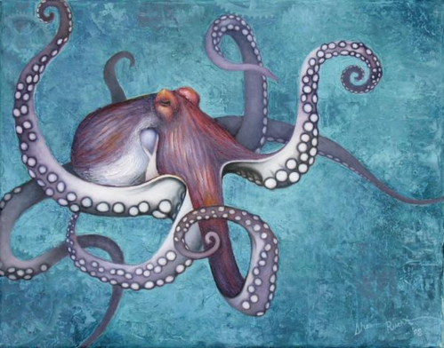 Pulpo